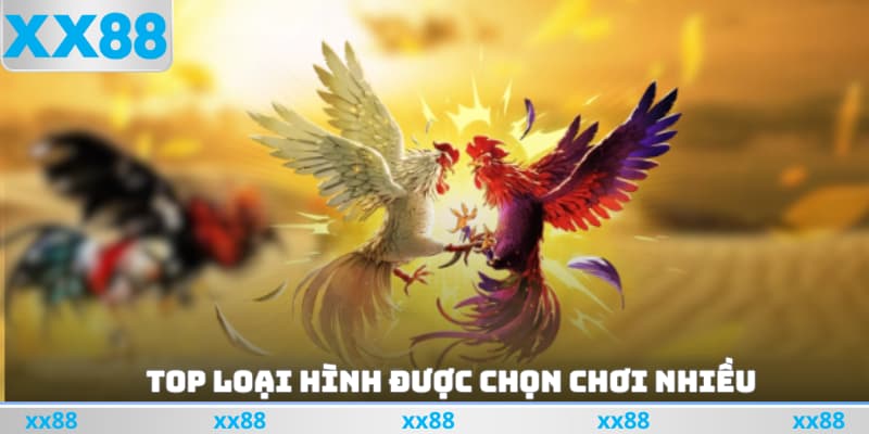 Top loại hình được chọn chơi nhiều